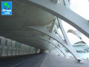 Ciudad de las artes y las ciencias